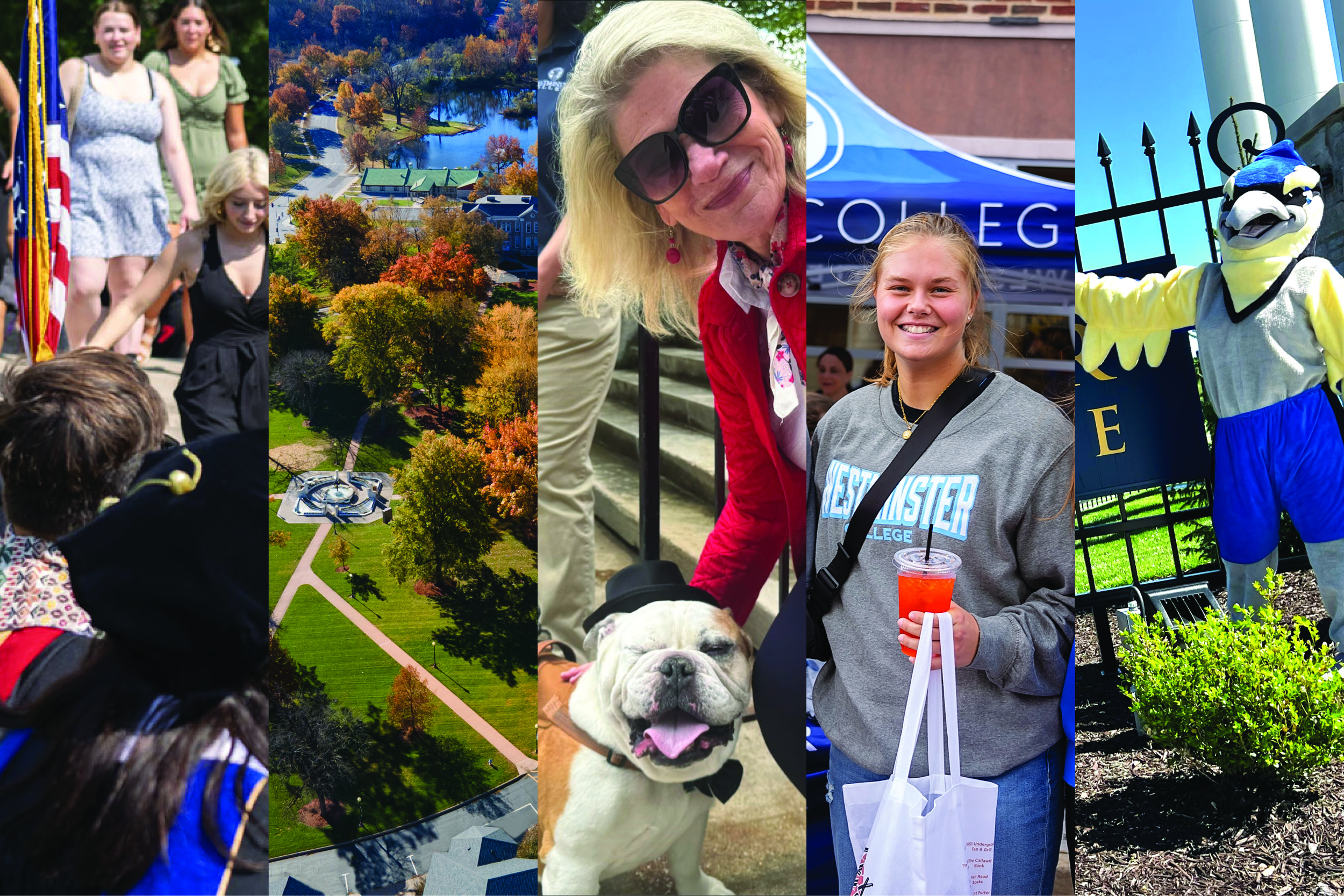A rectangular box displays the top 5 photos of the year.